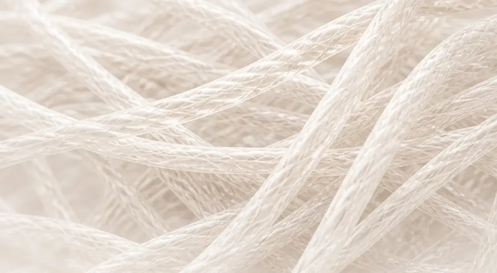 Rebuild — new collagen and elastin form